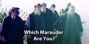 Which Marauder Are You? Moony, Wormtail, Padfoot, Or Prongs?