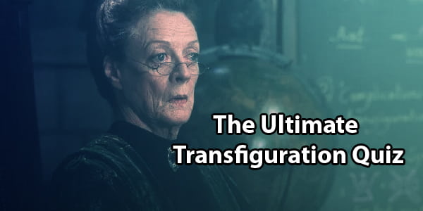 Harry Potter Transfiguration Quiz