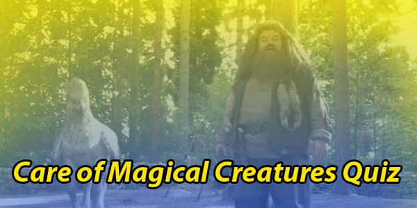 Care of Magical Creatures Quiz