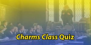 The Ultimate Harry Potter Charms Class Quiz