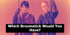 Harry Potter Broom Quiz: What Would You Ride?