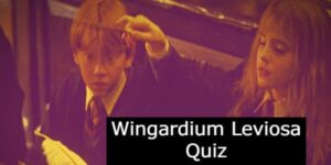 The Wingardium Leviosa Quiz