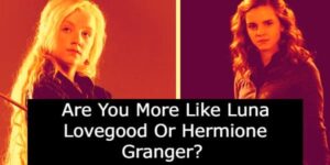 Luna Lovegood vs Hermione Granger: Which Are You More Like?