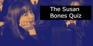 The Susan Bones Quiz