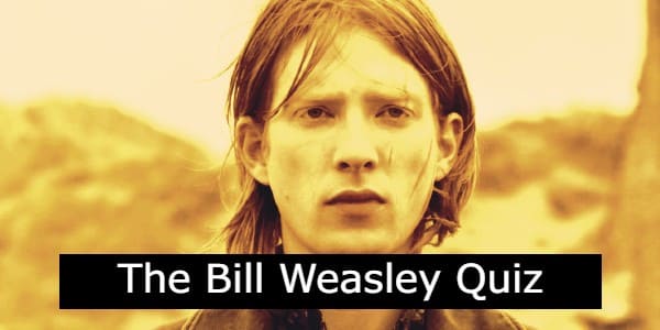 bill weasley quiz